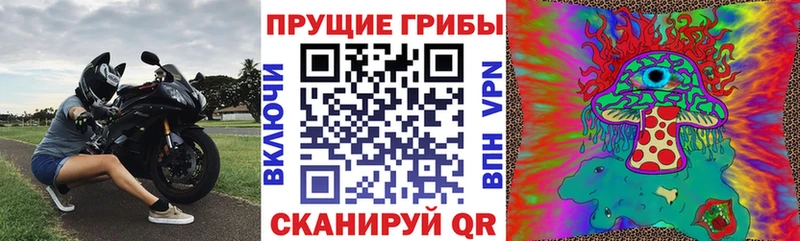 Галлюциногенные грибы Cubensis Купить закладки Поронайск